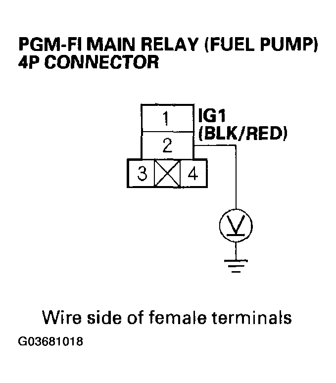 G03681018