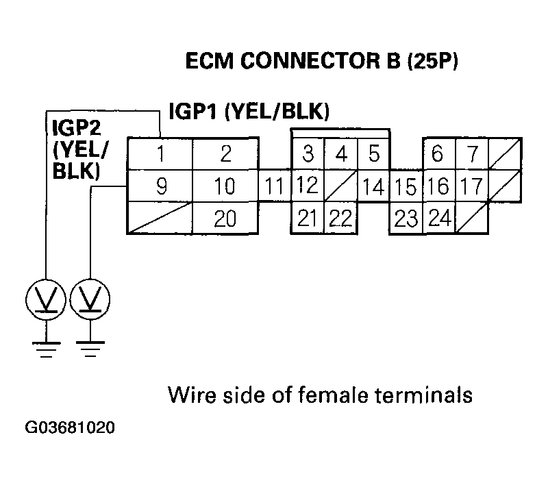 G03681020