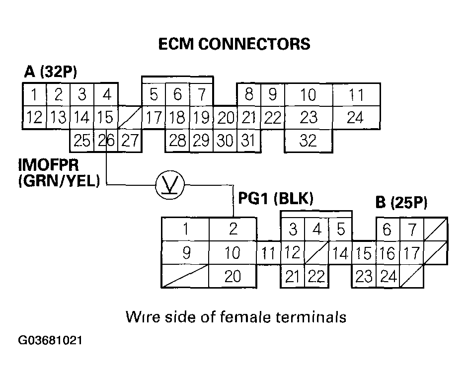 G03681021