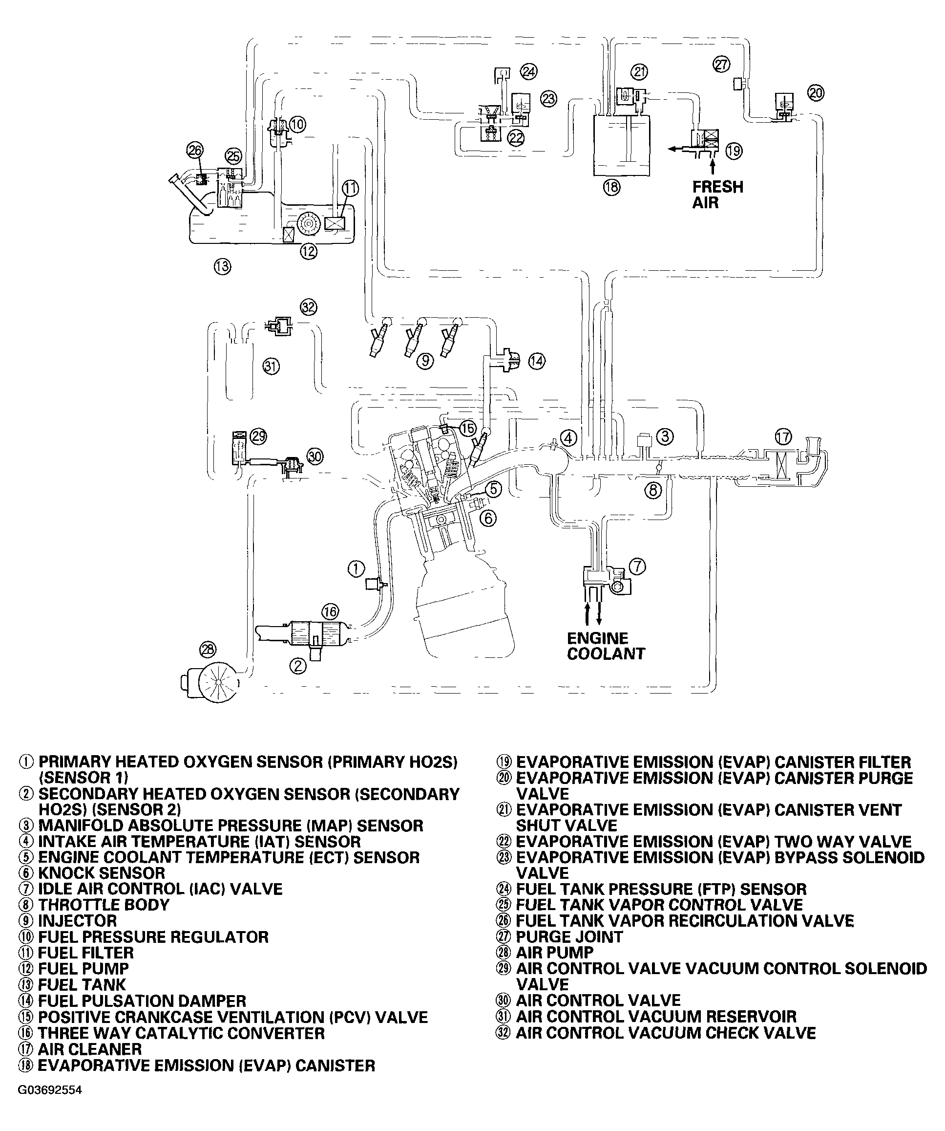 G03692554