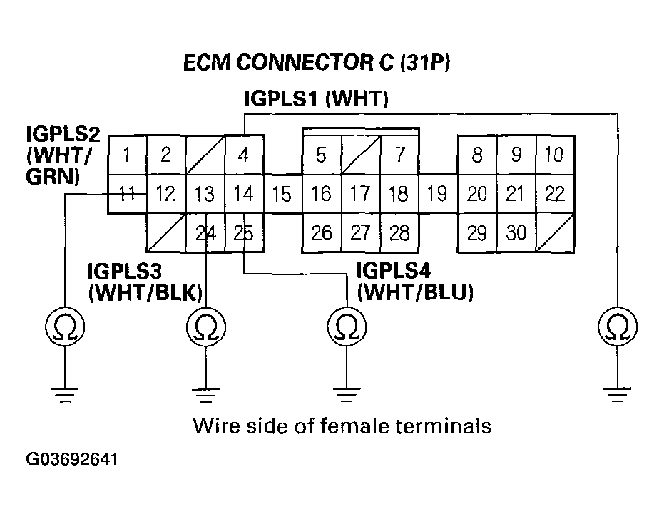 G03692641