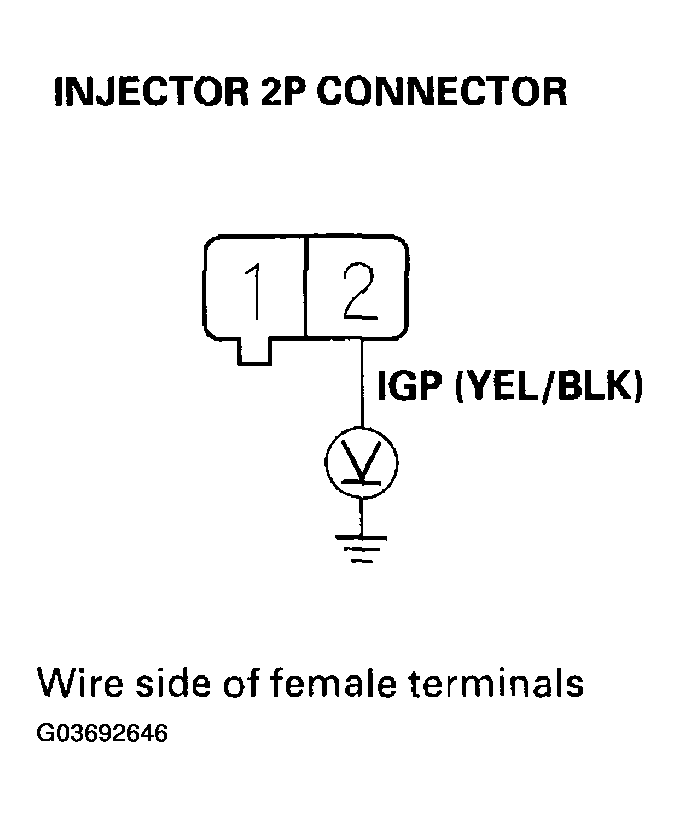 G03692646