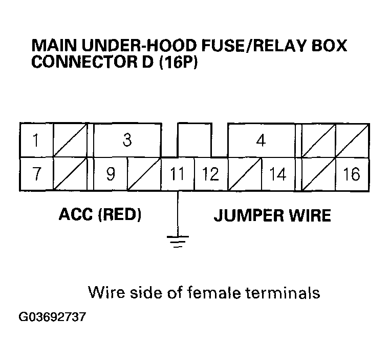 G03692737
