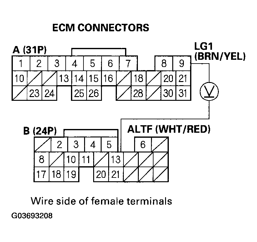 G03693208