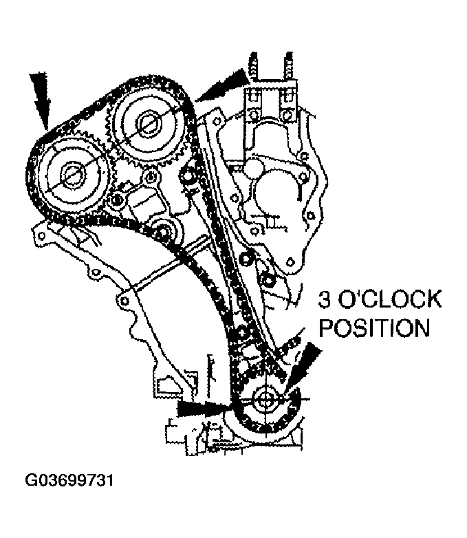 G03699731
