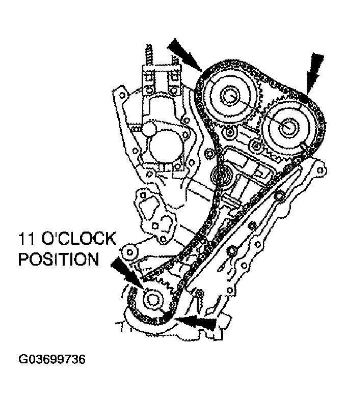 G03699736