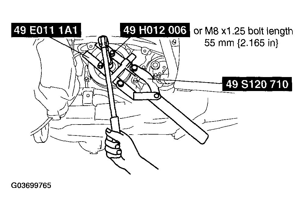 G03699765