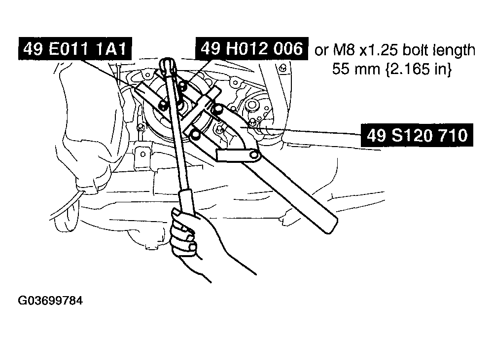 G03699784