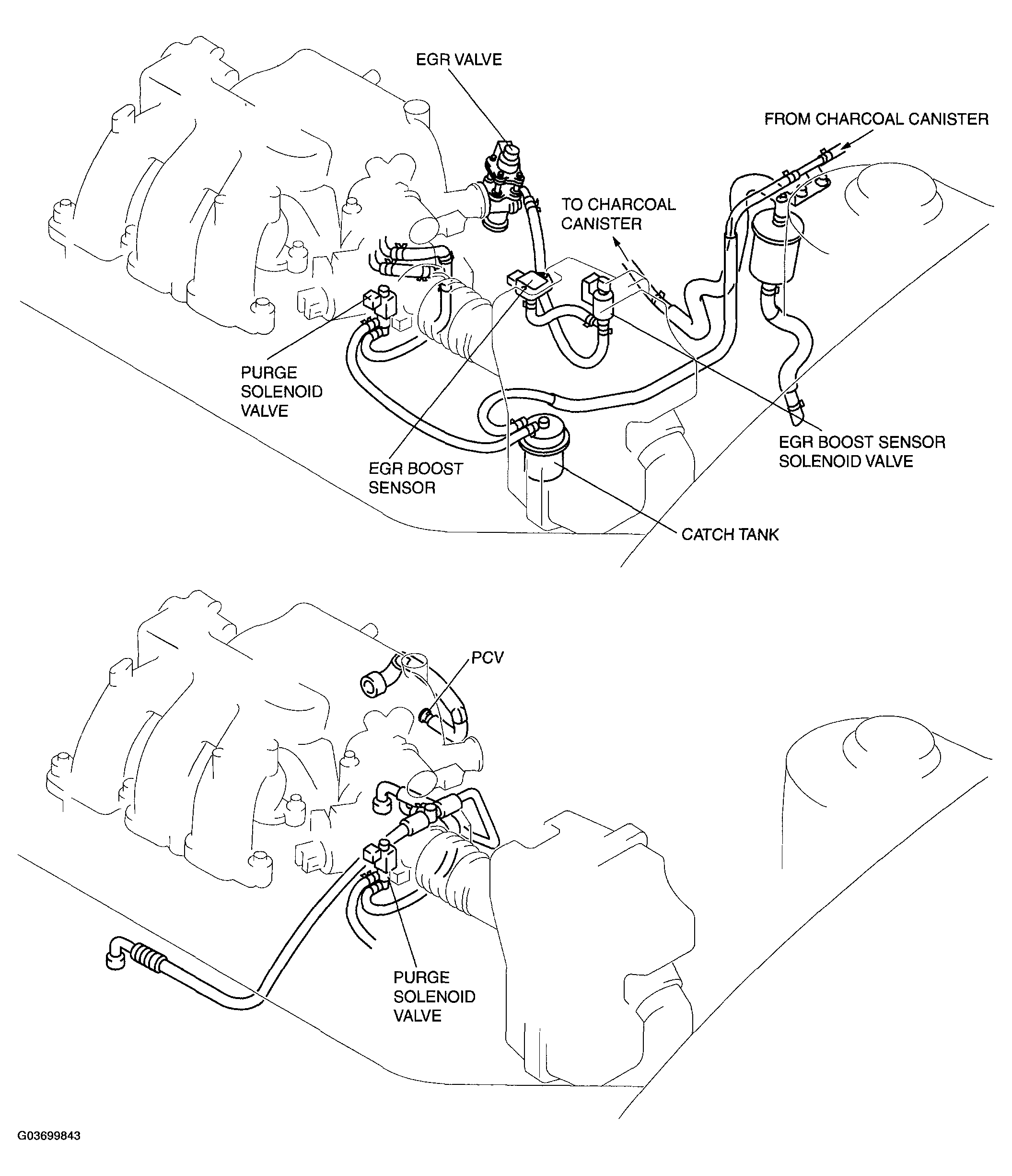 G03699843