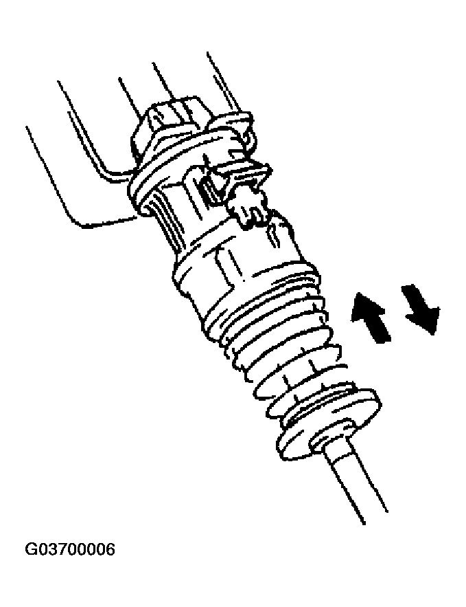 G03700006