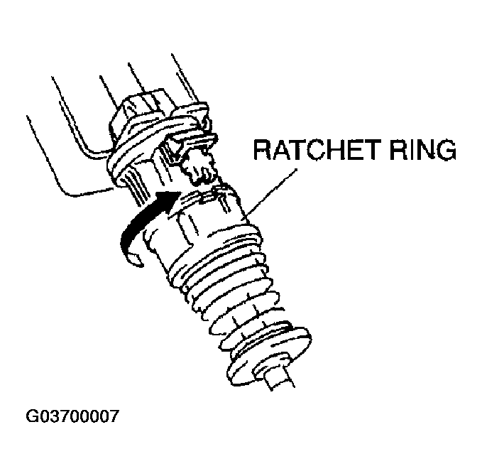 G03700007