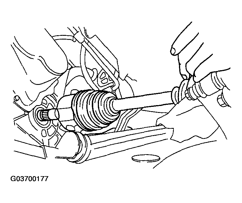 G03700177