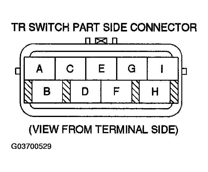 G03700529