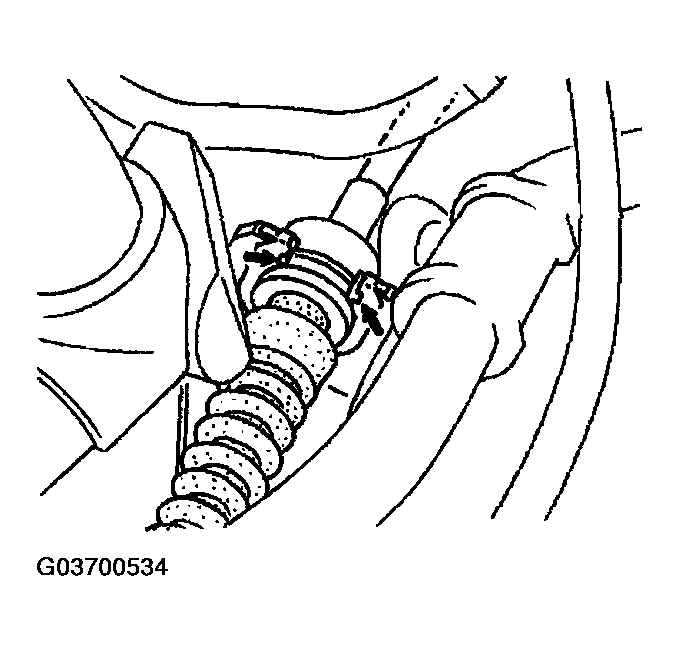G03700534