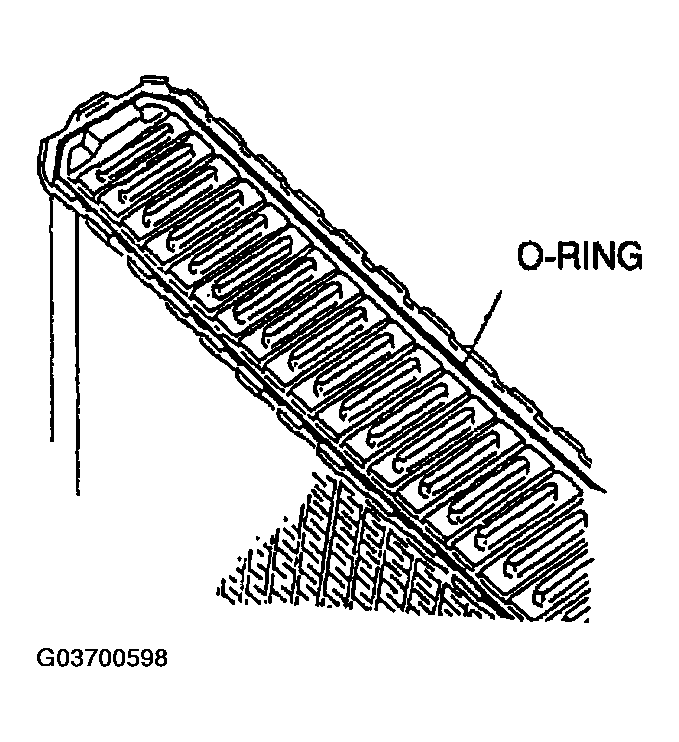 G03700598