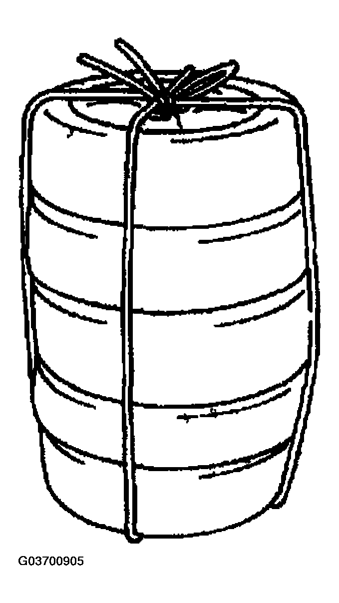 G03700905