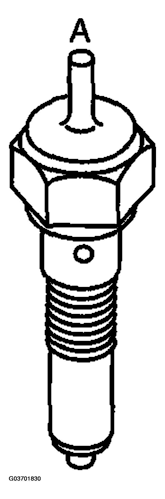 G03701830