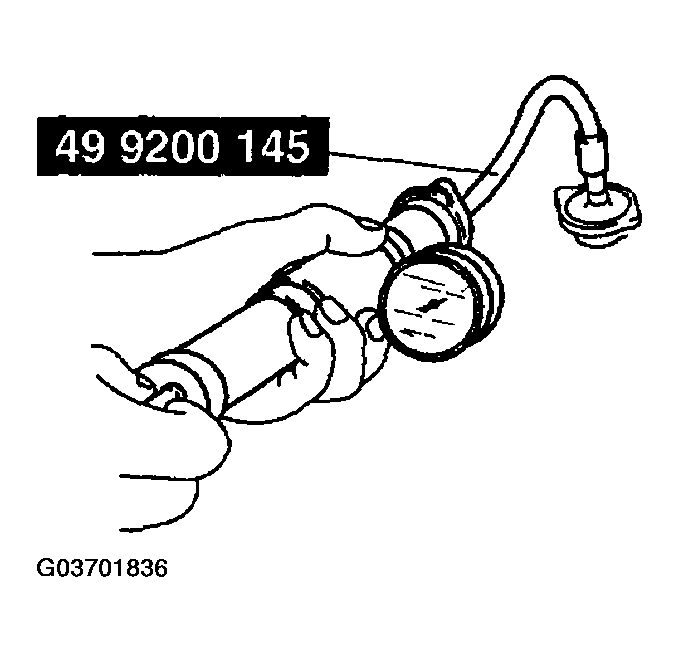 G03701836