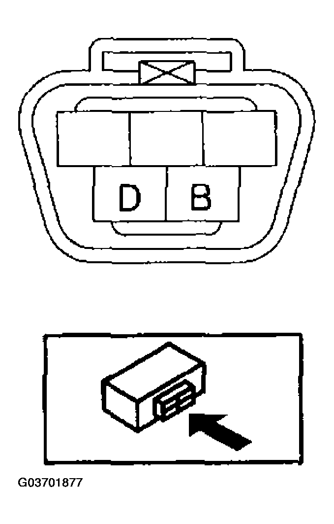 G03701877