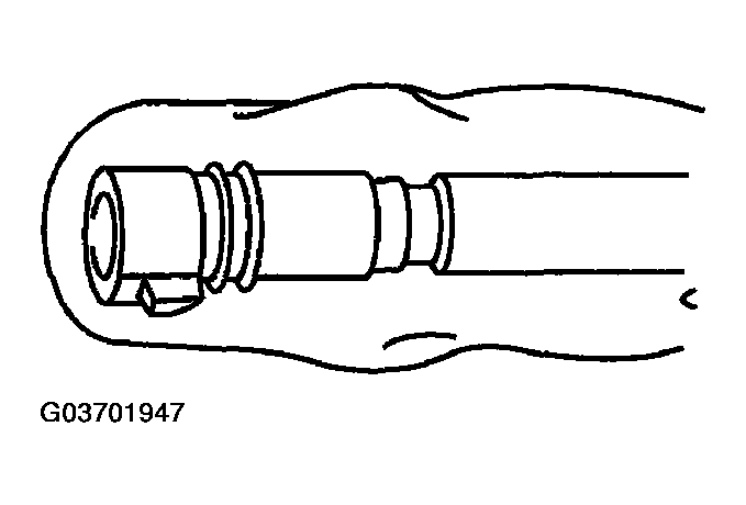 G03701947