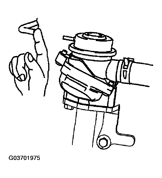 G03701975