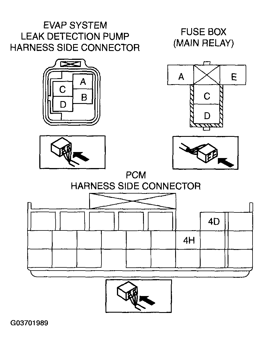 G03701989