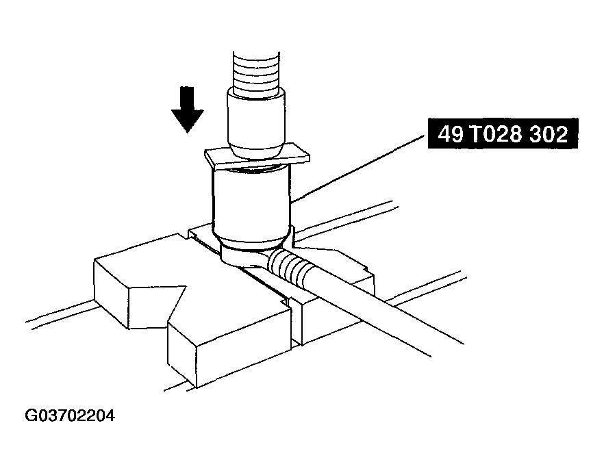 G03702204
