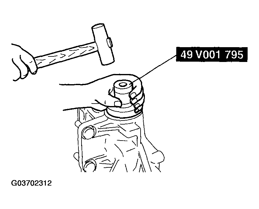 G03702312
