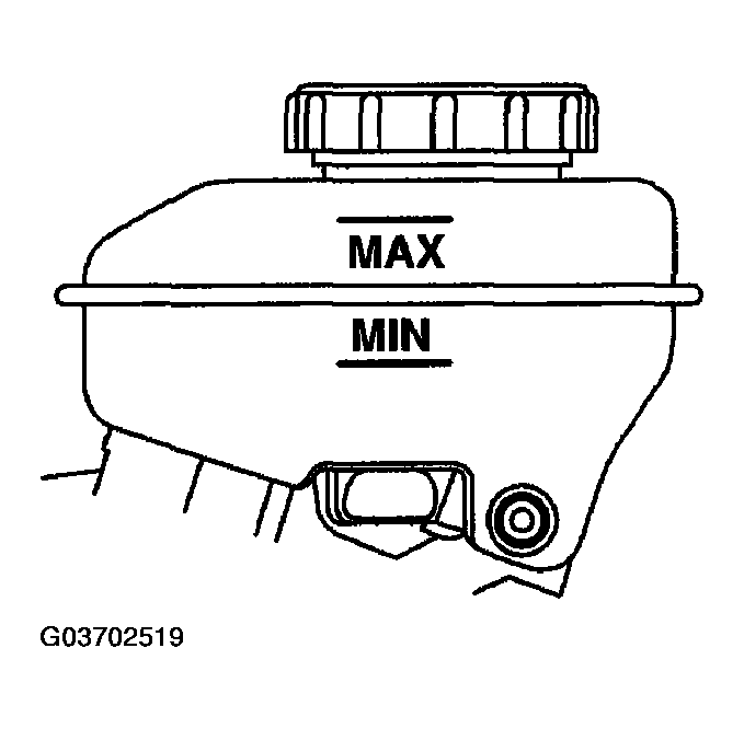 G03702519