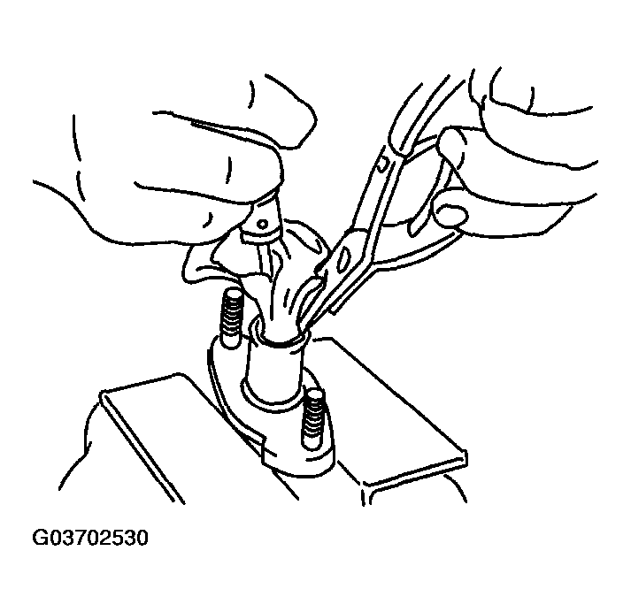 G03702530
