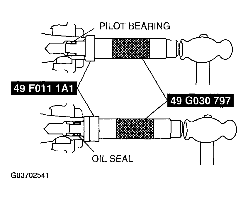 G03702541