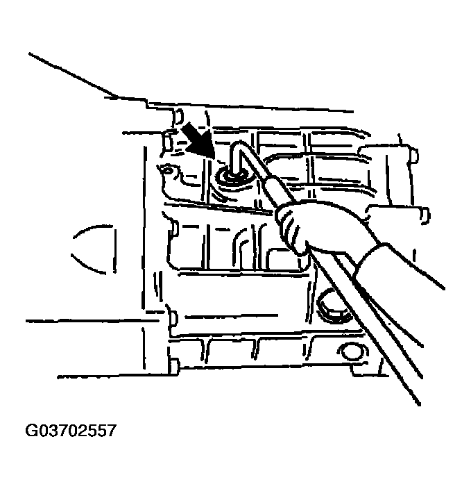 G03702557