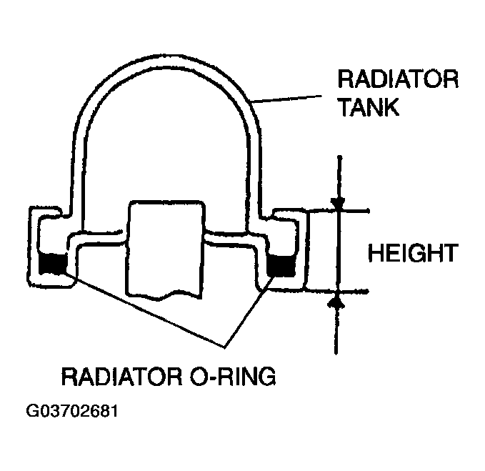 G03702681