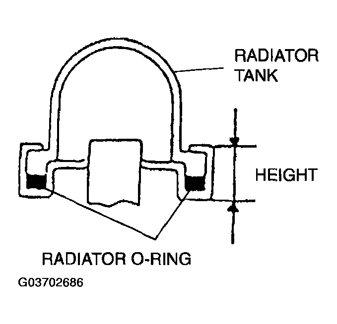 G03702686