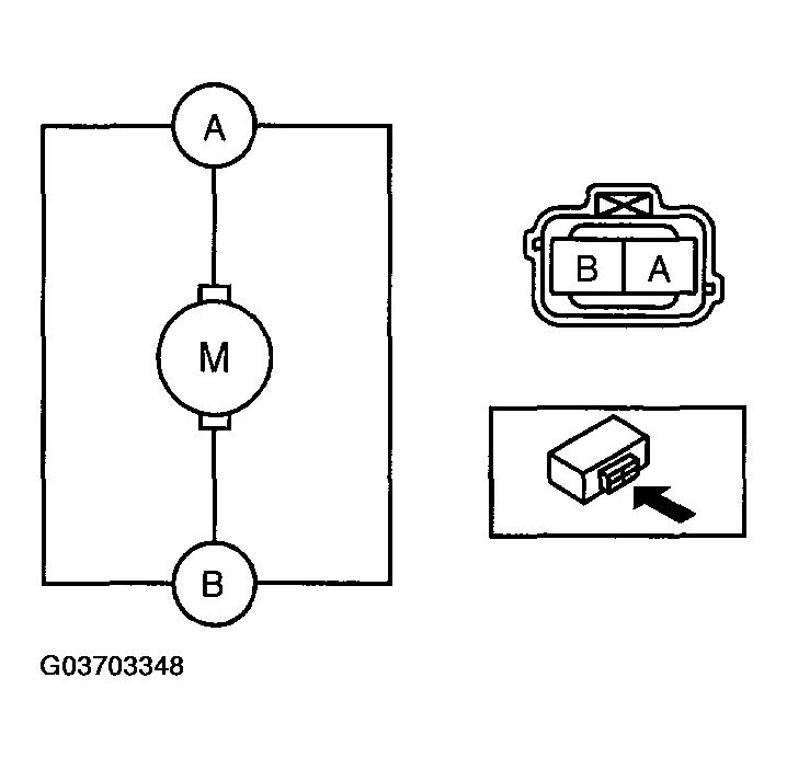 G03703348