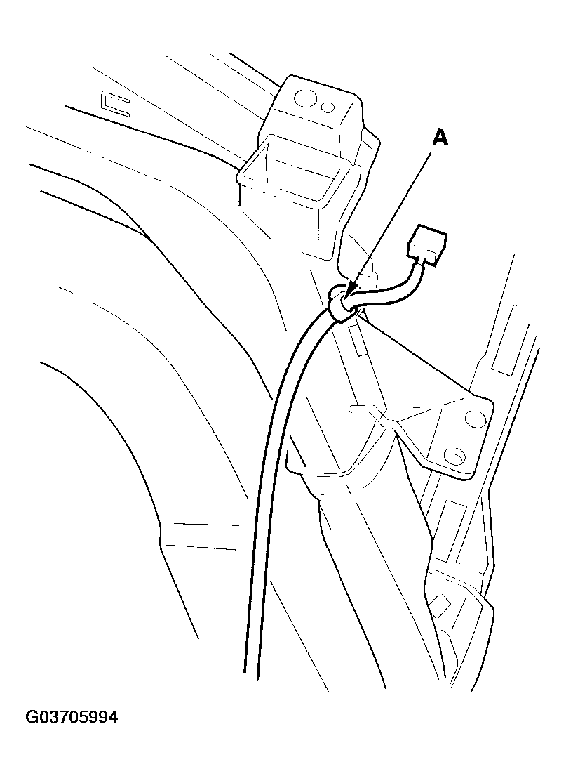 G03705994
