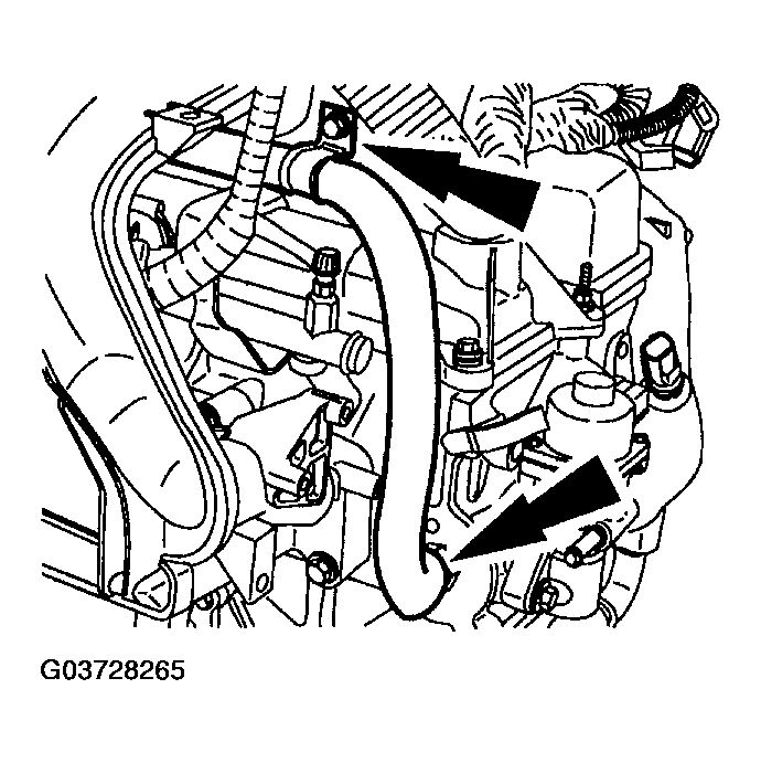 G03728265
