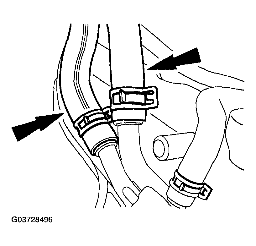 G03728496