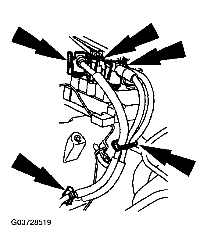 G03728519