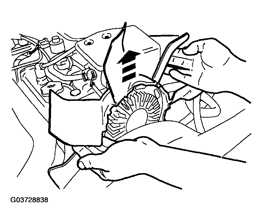 G03728838