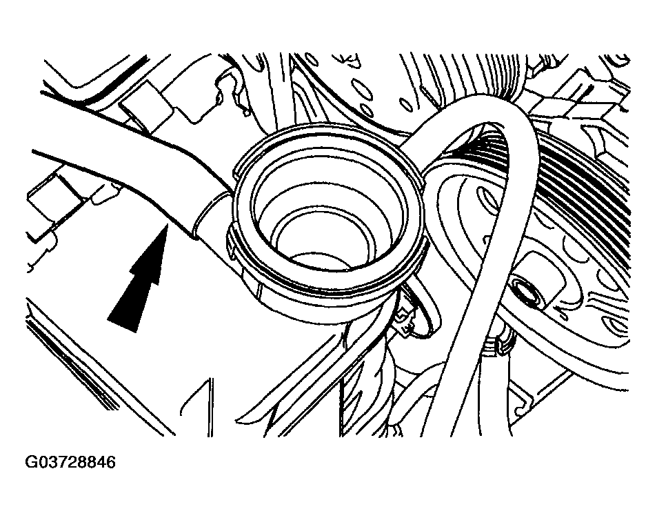 G03728846