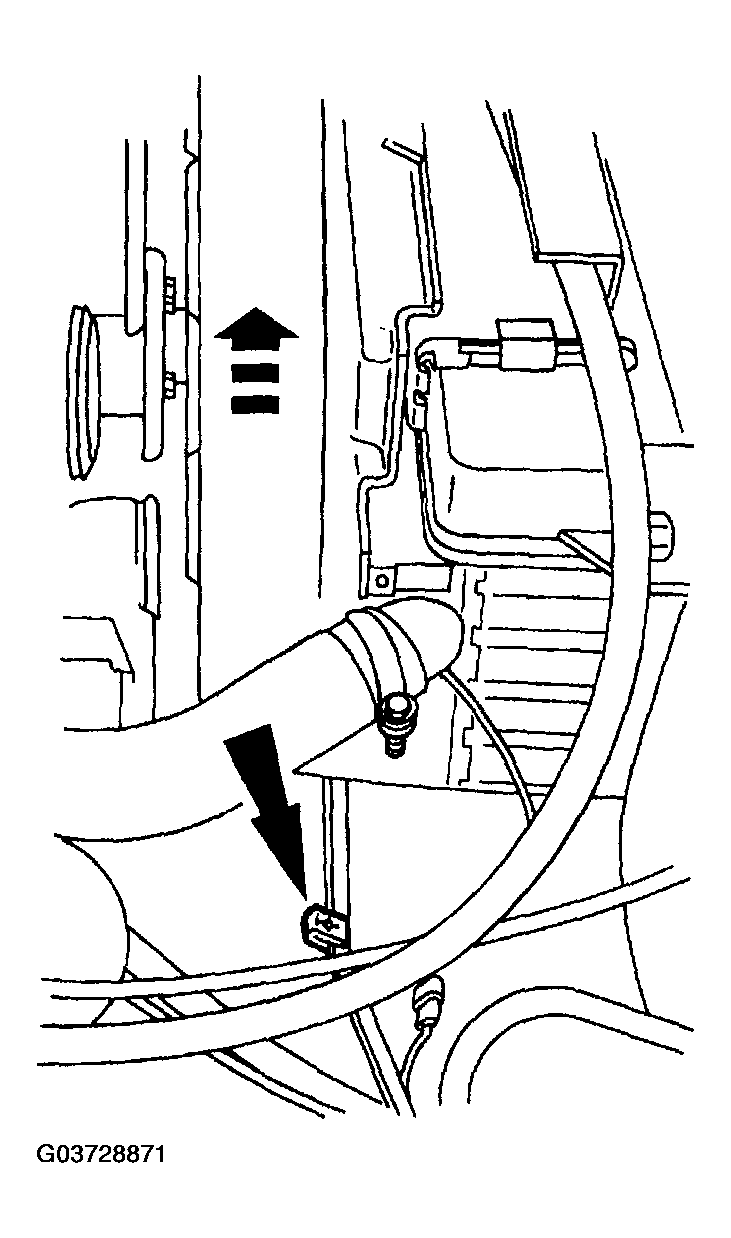 G03728871