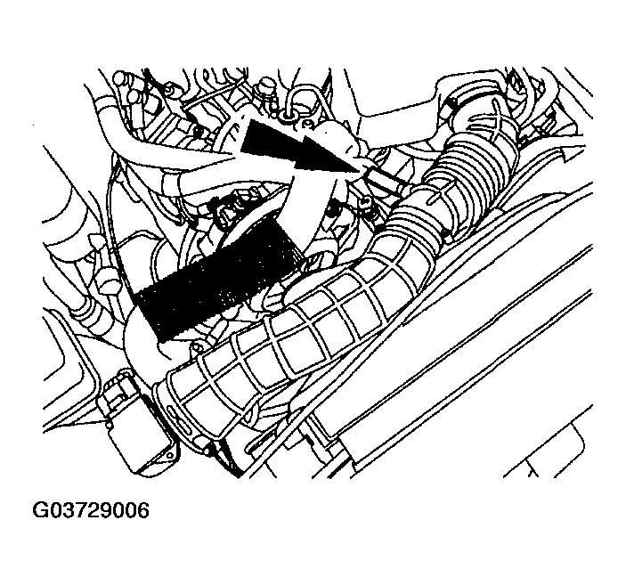 G03729006