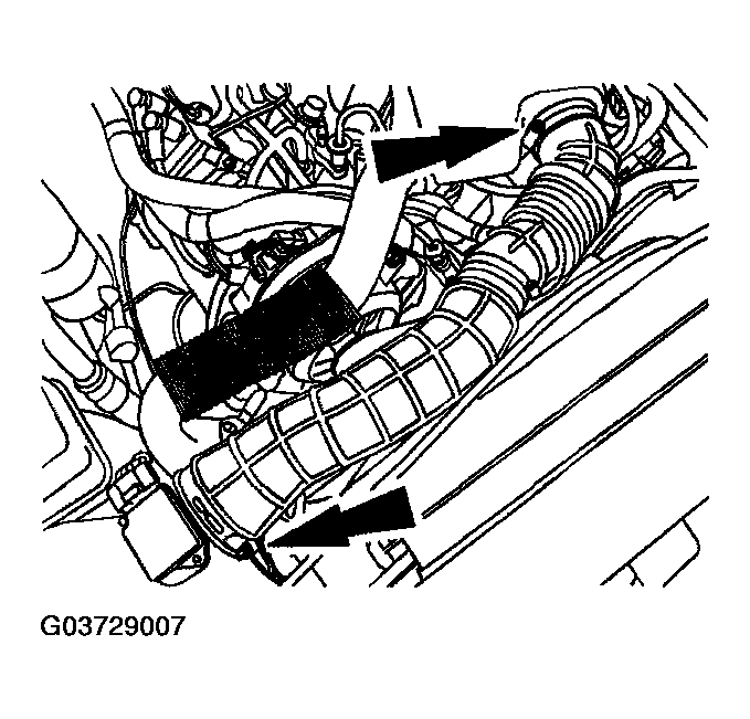 G03729007