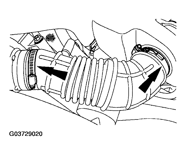G03729020