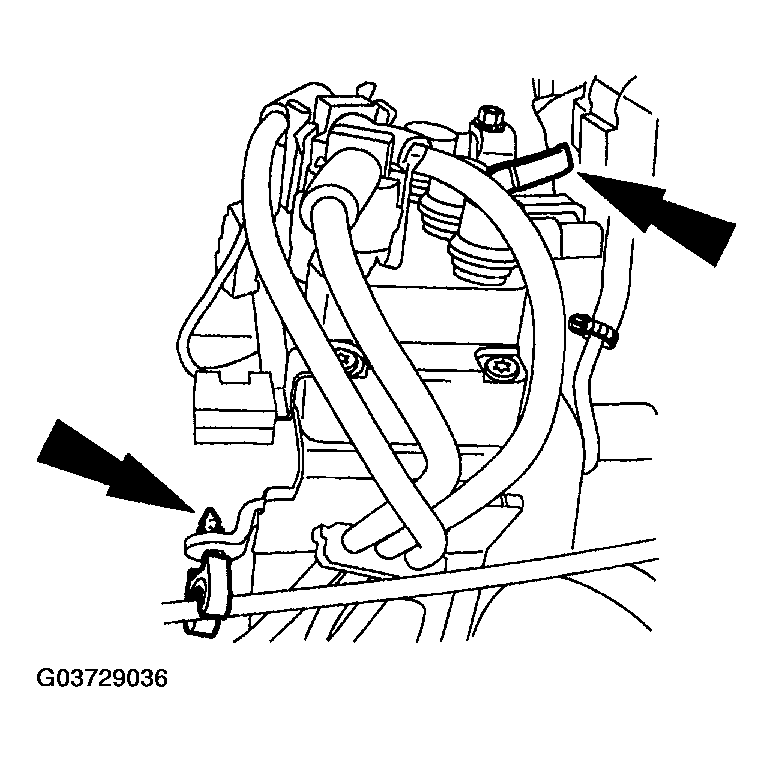 G03729036