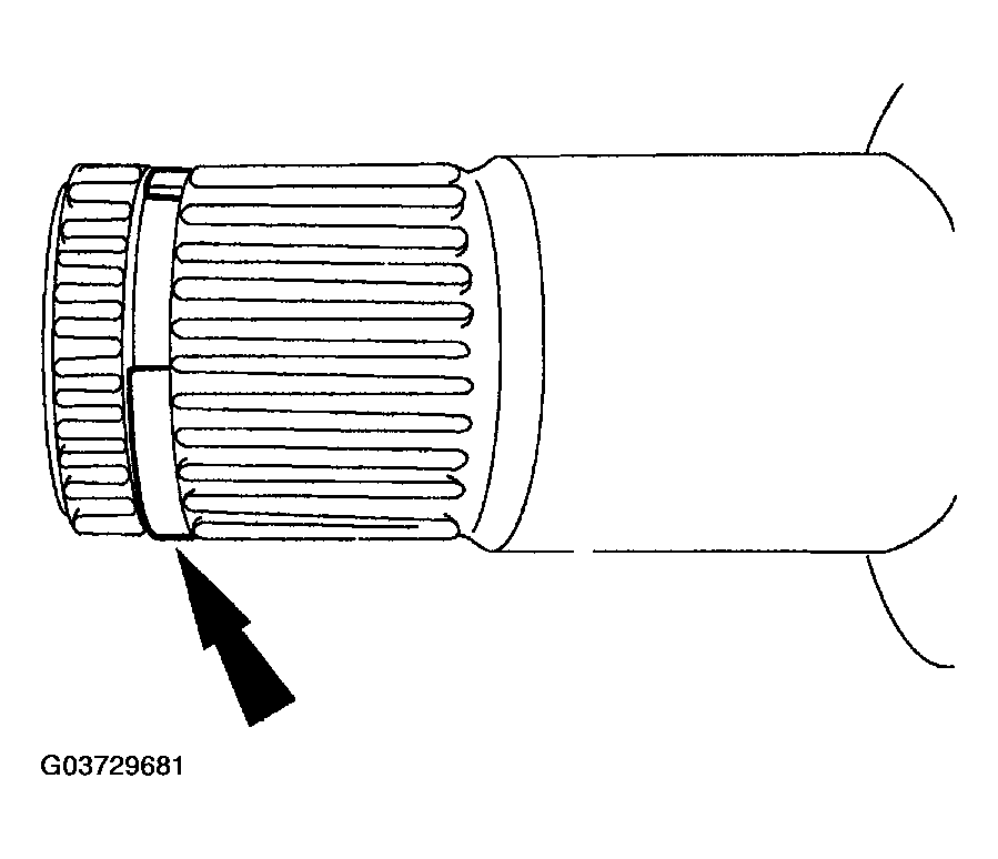 G03729681