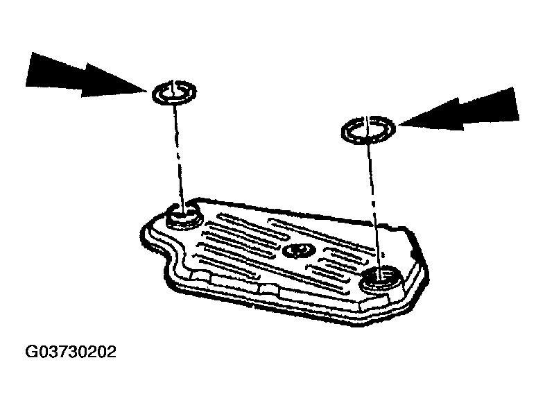 G03730202