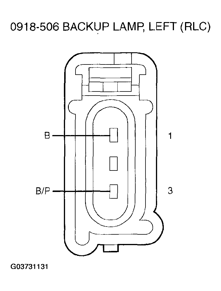 G03731131