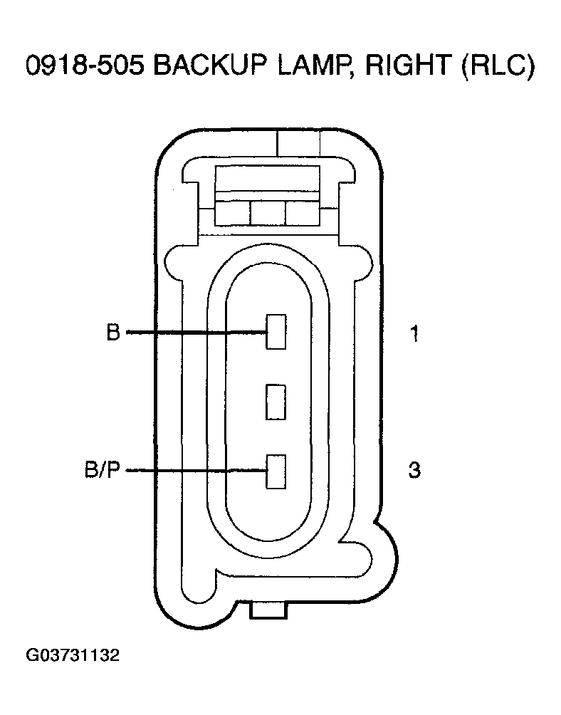 G03731132